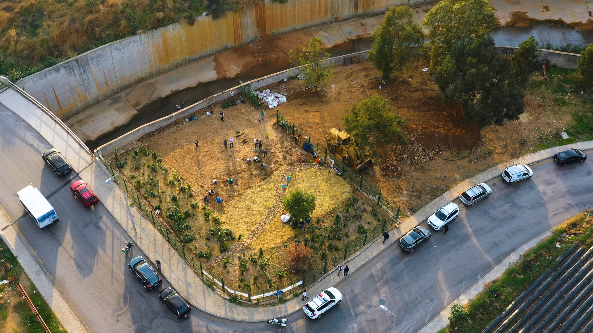 Beirut's RiverLESS Forest - Miyazaki tiny forests, project Sugi.