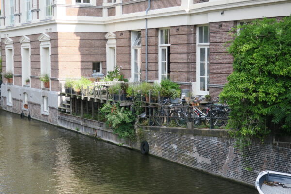 canal greening