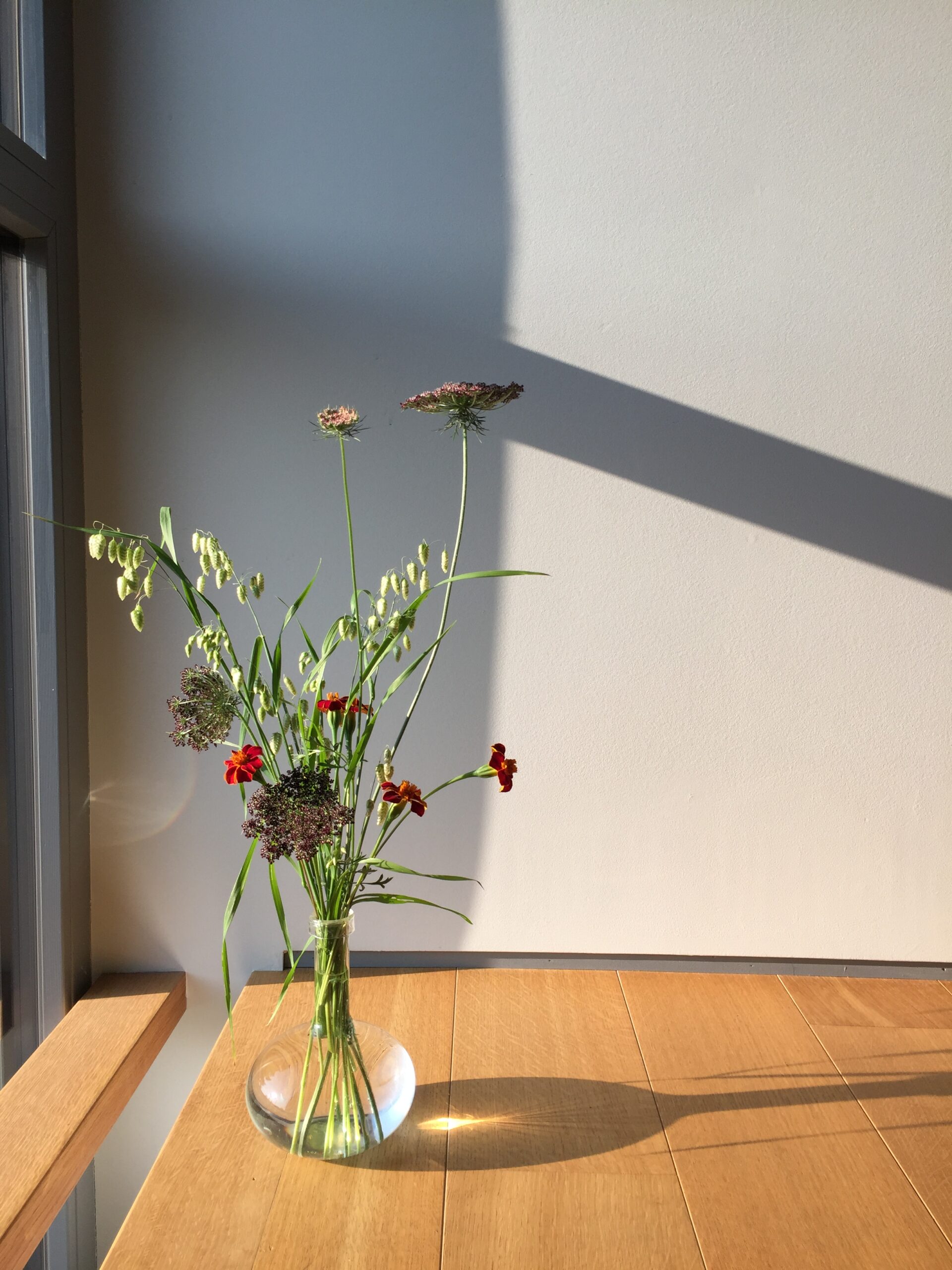 minimalist vase in sunlight