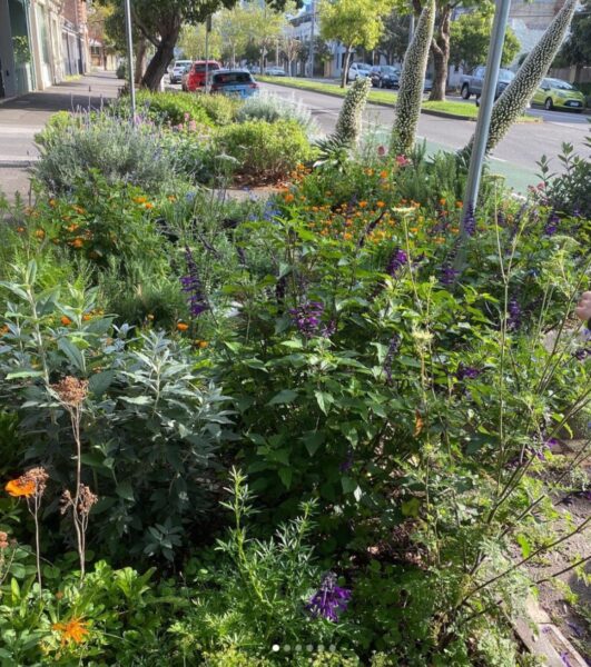 The Heart Gardening Project - Melbourne Pollinator Corridor
