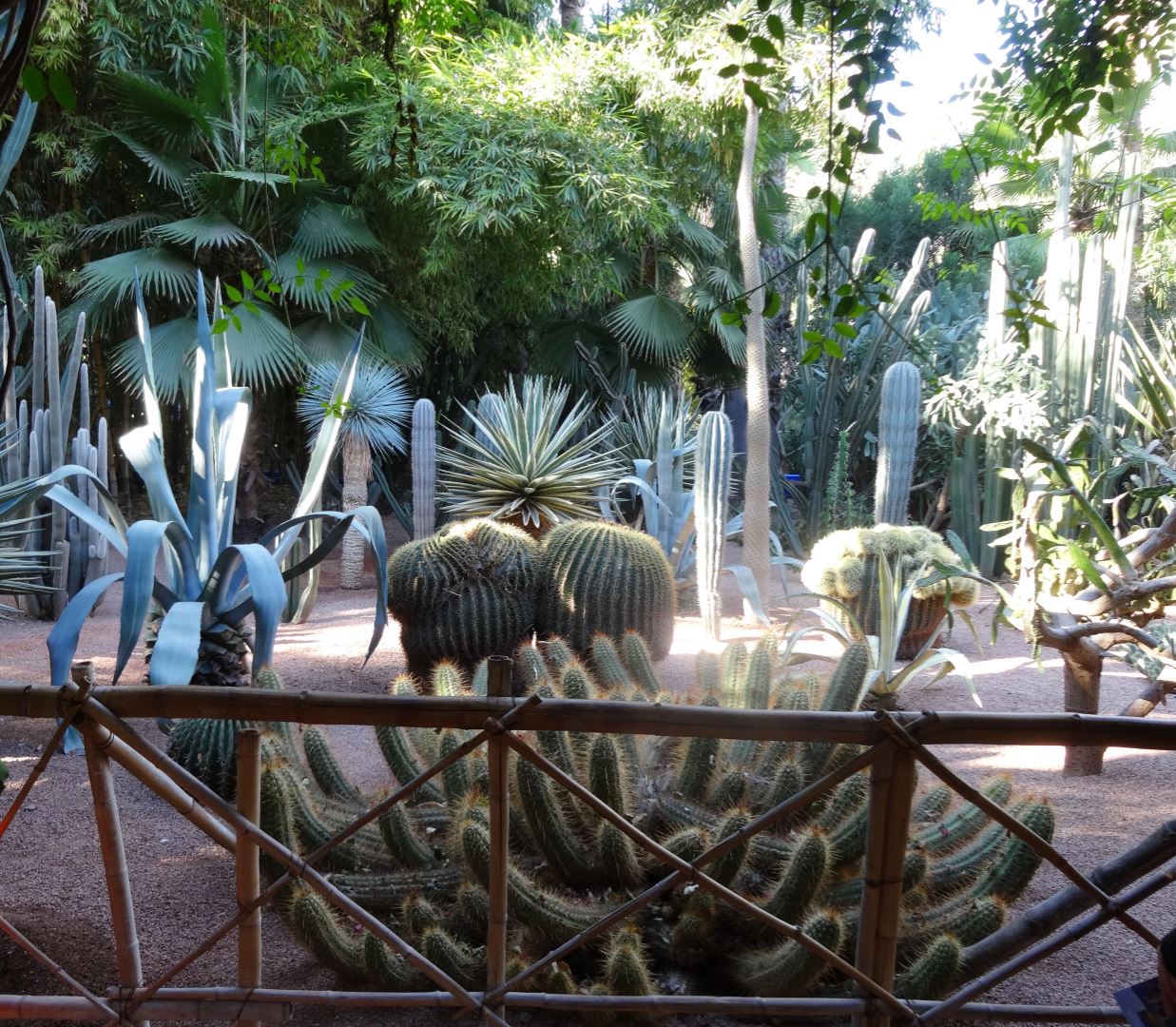 Jardin Marjorelle, Marrakech Morocco
