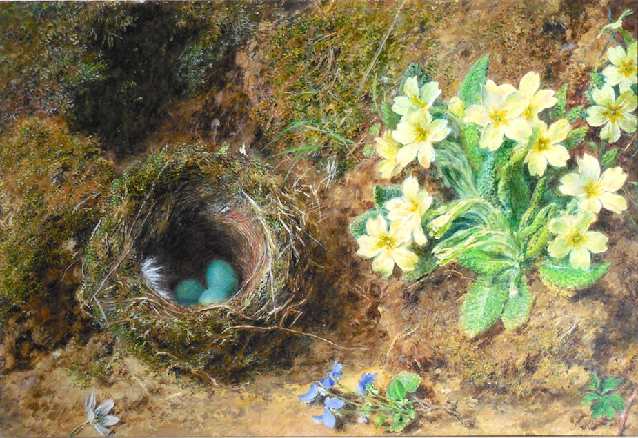 "Bird's Nest and Primroses" c.1855 Watercolour on paper By William Henry Hunt English artist 1790-1864