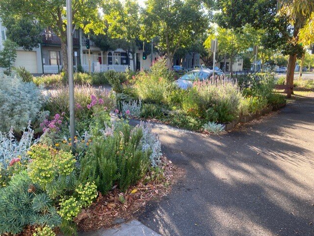 Street gardens (Melbourne Pollinator Corridor)