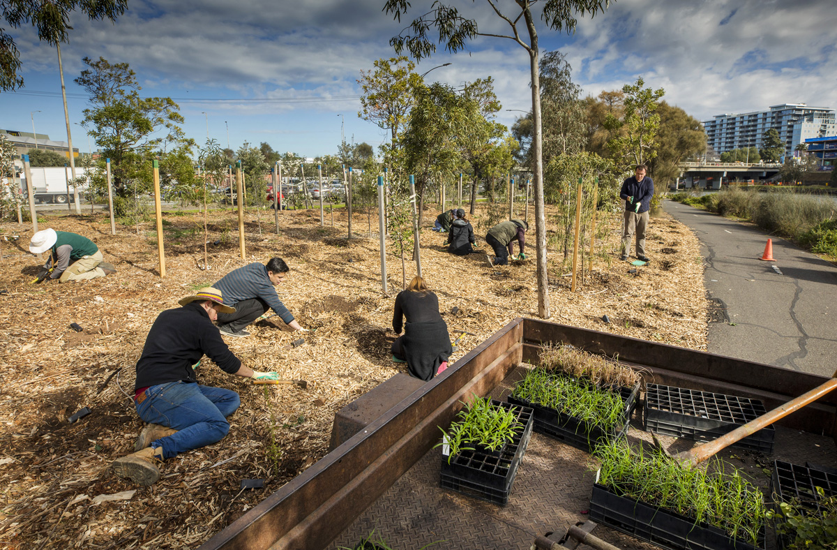 Habitat planting day, Melbourne Citizen Foresters. (participate.melbourne.vic.gov.au)