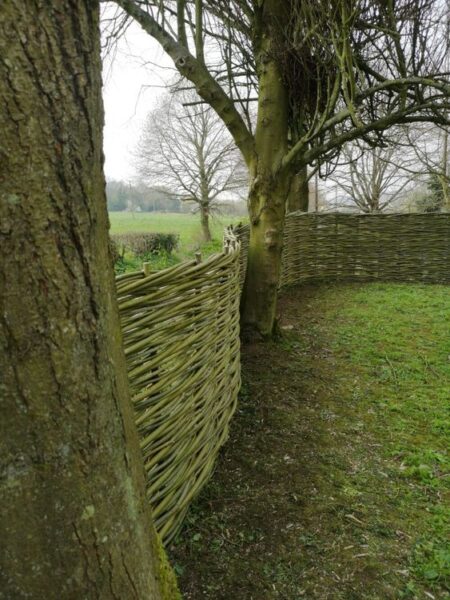 willow fence