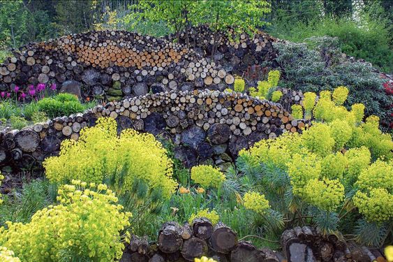 wood piles in the garden (Nigel Dunnett)