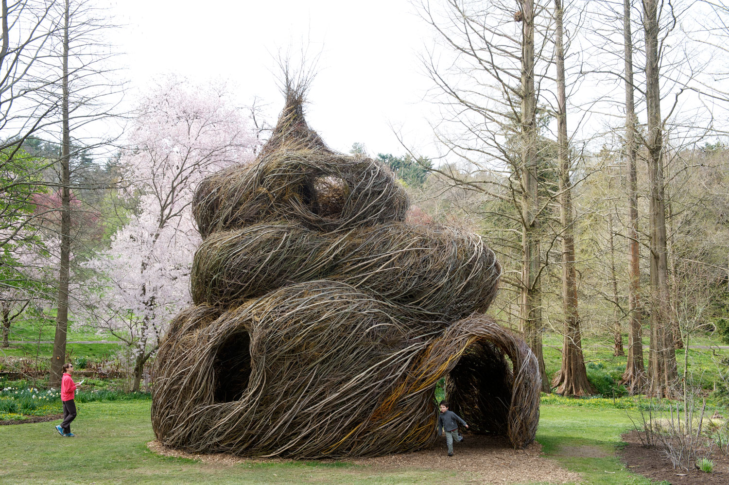 willow sculpture - patrick dougherty