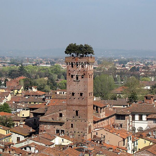 Torre Guinigi (Lucca, Italy)